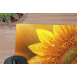 Zonnebloem - Dauwdruppels - Geel - Zonlicht muismat rubber klein -closeup