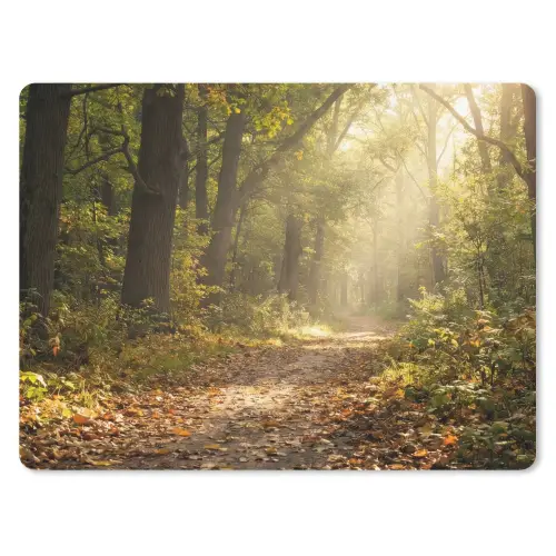 Zonlicht - Bospad - Bomen muismat rubber klein -3d
