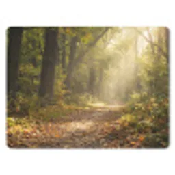 Zonlicht - Bospad - Bomen muismat rubber klein -3d