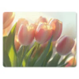 Tulpen - Roze - Zonnestralen muismat rubber klein -3d