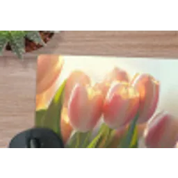 Tulpen - Roze - Zonnestralen muismat rubber klein -closeup