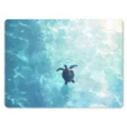 Schildpad - Zee - Blauw - Schittering muismat rubber klein -3d