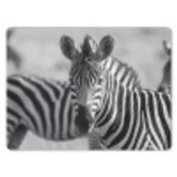 Zebra's - Zwart - Wit muismat rubber klein -3d