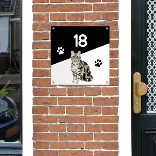 naambordje-katten-sfeerbeeld-1.png