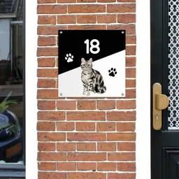 naambordje-katten-sfeerbeeld-1.png