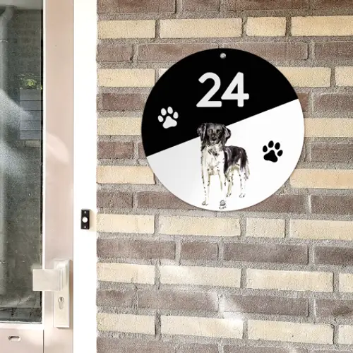 naambordje-honden-sfeerbeeld-2.png