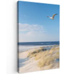 Mooie Strandvlucht Tuinposter op houten frame 2 cm dik klein -3d