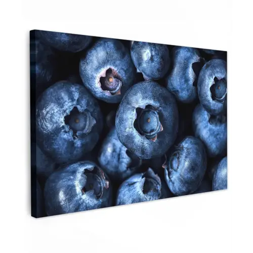 Bessen - Blauw - Fruit Tuinposter op houten frame 2 cm dik klein -3d