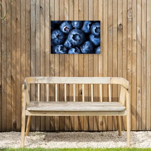 Bessen - Blauw - Fruit Tuinposter op houten frame 2 cm dik klein -sfeer4