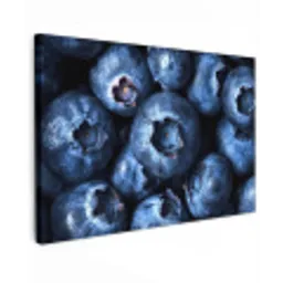 Bessen - Blauw - Fruit Tuinposter op houten frame 2 cm dik klein -3d