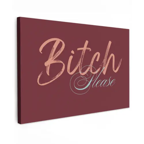 Bitch please - Rood - Blauw Tuinposter op houten frame 2 cm dik klein -3d