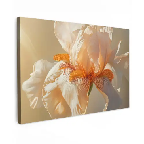 Close up - Oranje - Iris Tuinposter op houten frame 2 cm dik klein -3d