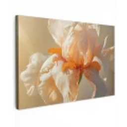 Close up - Oranje - Iris Tuinposter op houten frame 2 cm dik klein -3d