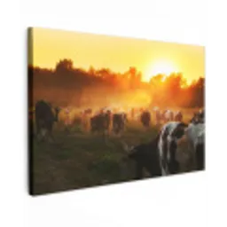 Koeien bij Zonsondergang Tuinposter op houten frame 2 cm dik klein -3d