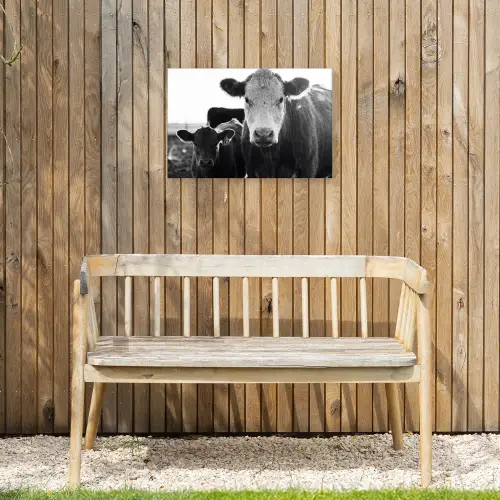 Koeien - Zwart - Wit Tuinposter op houten frame 2 cm dik klein -sfeer4