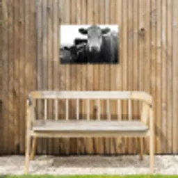 Koeien - Zwart - Wit Tuinposter op houten frame 2 cm dik klein -sfeer4