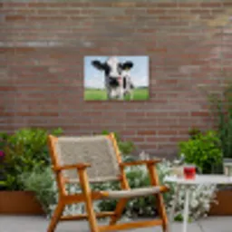 Koeien Close-up Tuinposter op houten frame 2 cm dik klein -sfeer3