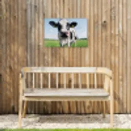 Koeien Close-up Tuinposter op houten frame 2 cm dik klein -sfeer4