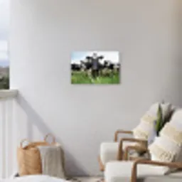 Nieuwsgierige koeien Tuinposter op houten frame 2 cm dik klein -sfeer1
