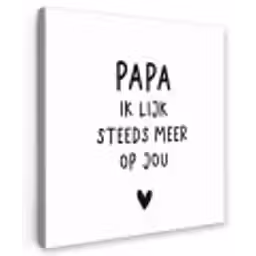 Papa - Spreuken - Stef Bos - Papa ik lijk steeds meer op jou - Quotes Tuinposter op houten frame 2 cm dik klein -3d