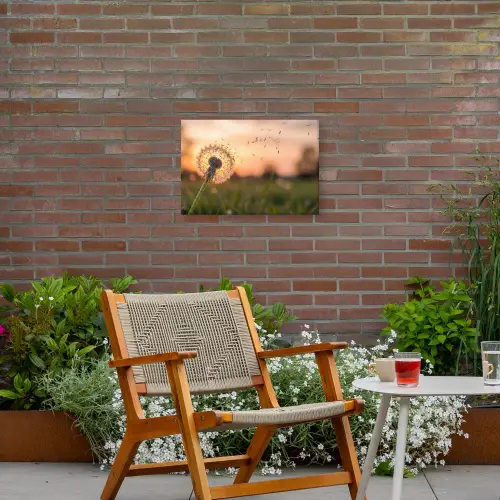 Paardenbloem - Zonsondergang - Veld Tuinposter op houten frame 2 cm dik klein -sfeer3