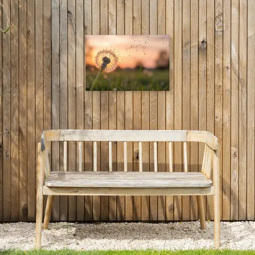 Paardenbloem - Zonsondergang - Veld Tuinposter op houten frame 2 cm dik klein -sfeer4