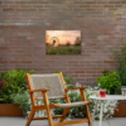 Paardenbloem - Zonsondergang - Veld Tuinposter op houten frame 2 cm dik klein -sfeer3