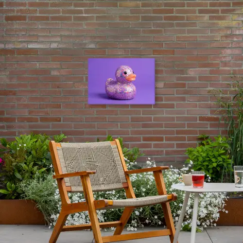 Disco - Eend - Paars Tuinposter op houten frame 2 cm dik klein -sfeer3