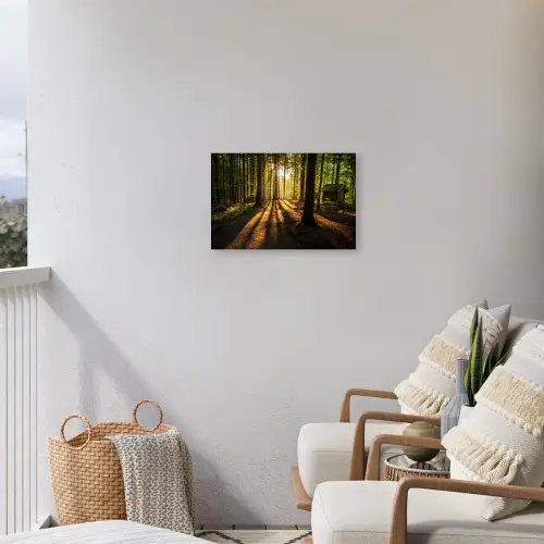 Avondlicht in het bos Tuinposter op houten frame 2 cm dik klein -sfeer1