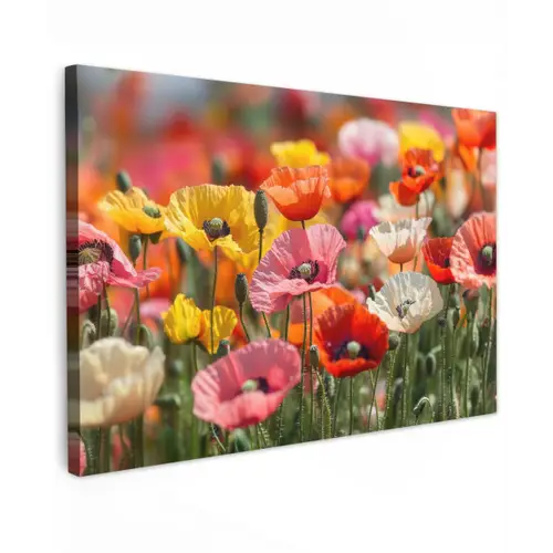 Bloemenveld - Klaprozen - Kleurrijk Tuinposter op houten frame 2 cm dik klein -3d