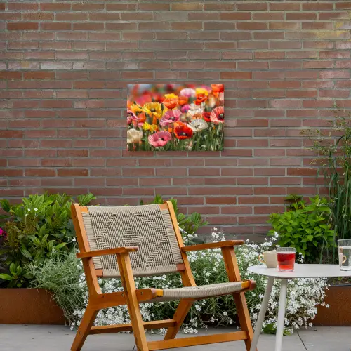 Bloemenveld - Klaprozen - Kleurrijk Tuinposter op houten frame 2 cm dik klein -sfeer3