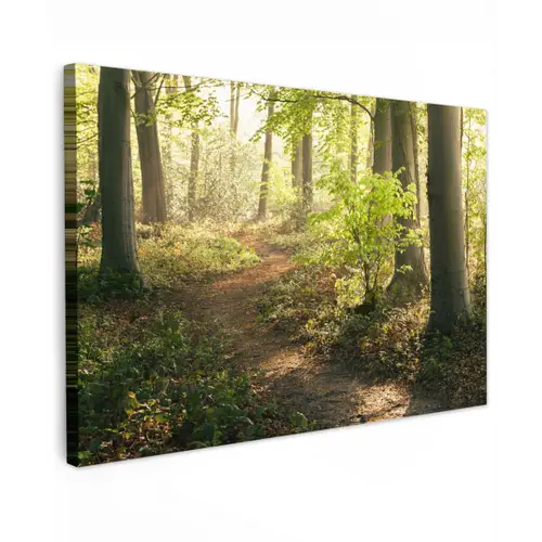 Bospad bij zonsopgang Tuinposter op houten frame 2 cm dik klein -3d
