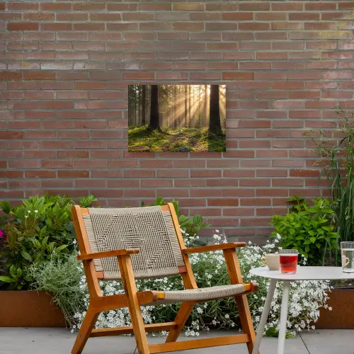 Bos - Zonlicht - Gras Tuinposter op houten frame 2 cm dik klein -sfeer3