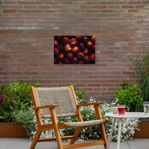 Fruit - Close up - Nectarines Tuinposter op houten frame 2 cm dik klein -sfeer3