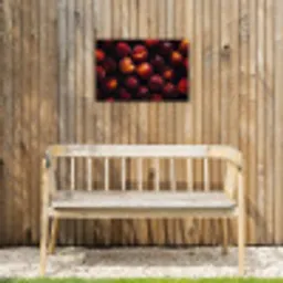 Fruit - Close up - Nectarines Tuinposter op houten frame 2 cm dik klein -sfeer4