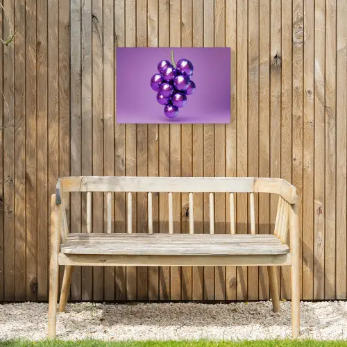 Druif - Disco - Glitter - Paars Tuinposter op houten frame 2 cm dik klein -sfeer4