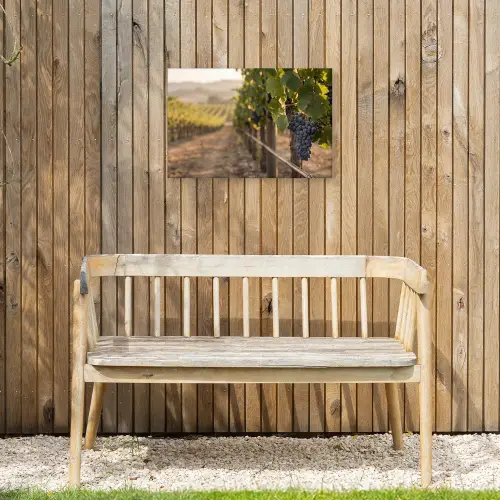 Druiven - Wijngaard - Zonlicht Tuinposter op houten frame 2 cm dik klein -sfeer4