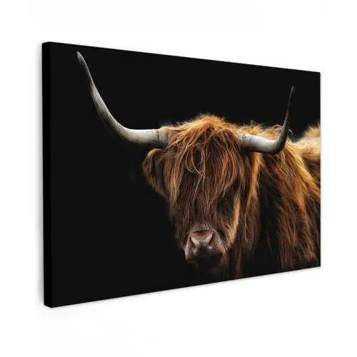 Hooglander tegen Zwarte Achtergrond Tuinposter op houten frame 2 cm dik klein -3d