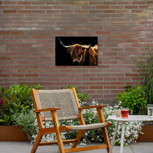 Hooglander tegen Zwarte Achtergrond Tuinposter op houten frame 2 cm dik klein -sfeer3