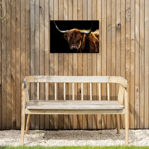Hooglander tegen Zwarte Achtergrond Tuinposter op houten frame 2 cm dik klein -sfeer4
