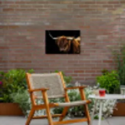 Hooglander tegen Zwarte Achtergrond Tuinposter op houten frame 2 cm dik klein -sfeer3