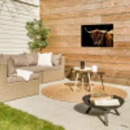 Hooglander tegen Zwarte Achtergrond Tuinposter op houten frame 2 cm dik klein -sfeer2
