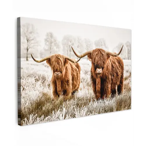 Hooglanders in de Winter Tuinposter op houten frame 2 cm dik klein -3d