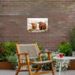 Hooglanders in de Winter Tuinposter op houten frame 2 cm dik klein -sfeer3