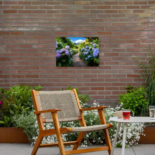 Hortsensia - Pad - Bloemen Tuinposter op houten frame 2 cm dik klein -sfeer3
