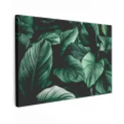 Intrigerende Bladpatronen Tuinposter op houten frame 2 cm dik klein -3d