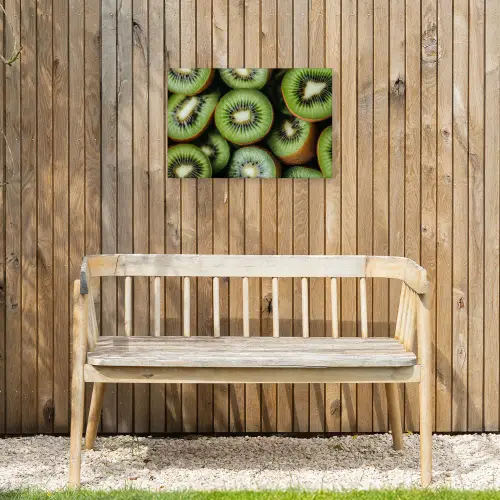 Kiwi - Fruit - Groen Tuinposter op houten frame 2 cm dik klein -sfeer4
