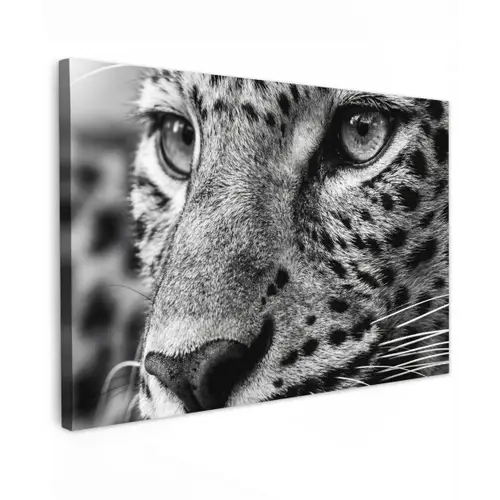 Luipaard - Zwart - Wit - Oog Tuinposter op houten frame 2 cm dik klein -3d