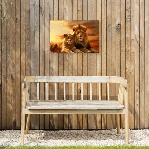 Leeuwenpaar bij zonsondergang Tuinposter op houten frame 2 cm dik klein -sfeer4