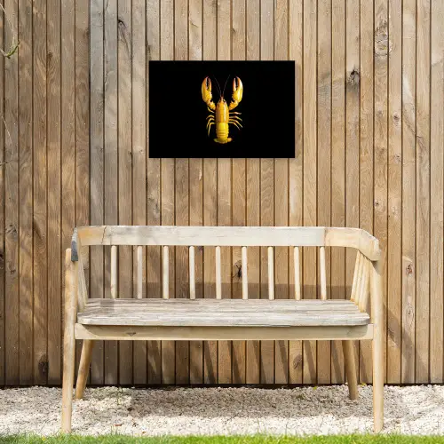 Kreeft - Geel - Stippen - Effen Tuinposter op houten frame 2 cm dik klein -sfeer4